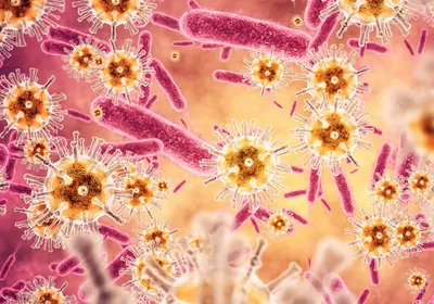 Artist&rsquo;s rendering of various orange and pink colored bacteria